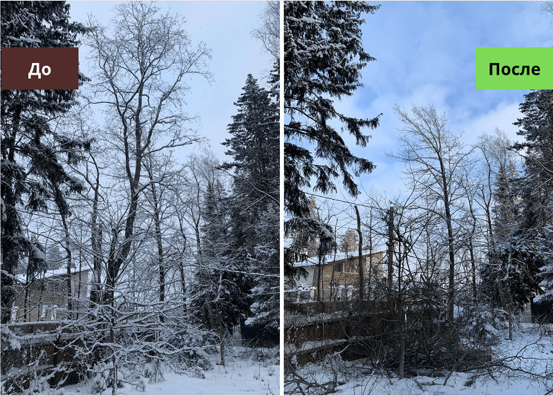 Валка аварийного дерева